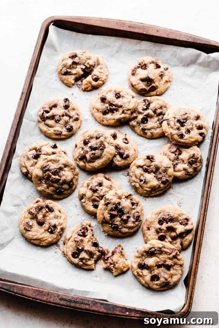 Ultimate Soft Chewy One Bowl Chocolate Chip Cookies 23 Ultimate Soft Chewy One Bowl Chocolate Chip Cookies
