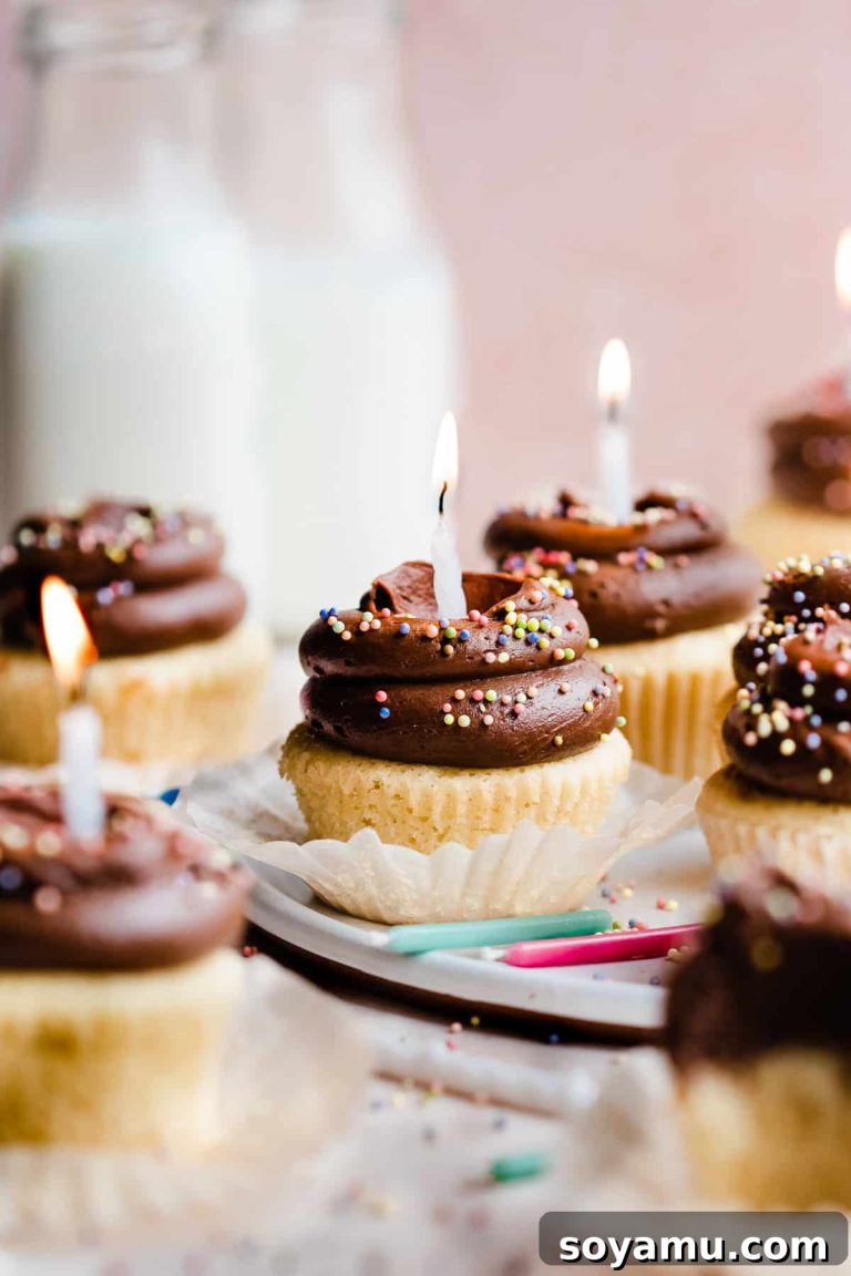Malted Chocolate Bliss Cupcakes