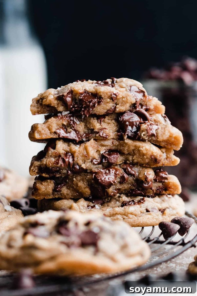 Perfect Egg-Free Chocolate Chip Cookies 23 Perfect Egg-Free Chocolate Chip Cookies