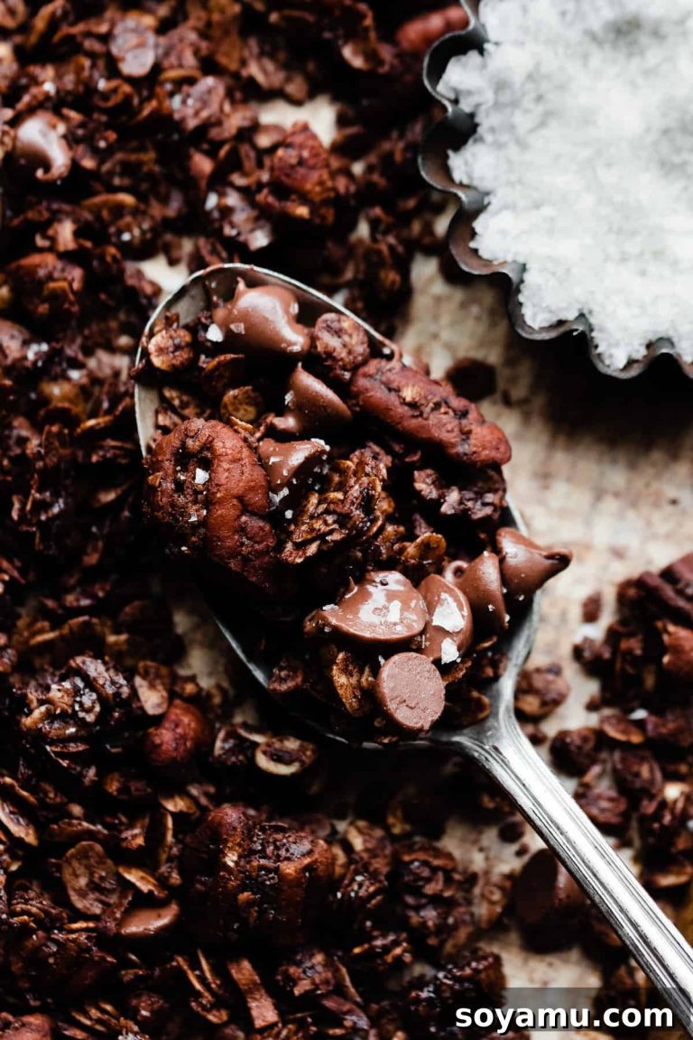 Guilt-Free Chocolate Granola 24 Guilt-Free Chocolate Granola