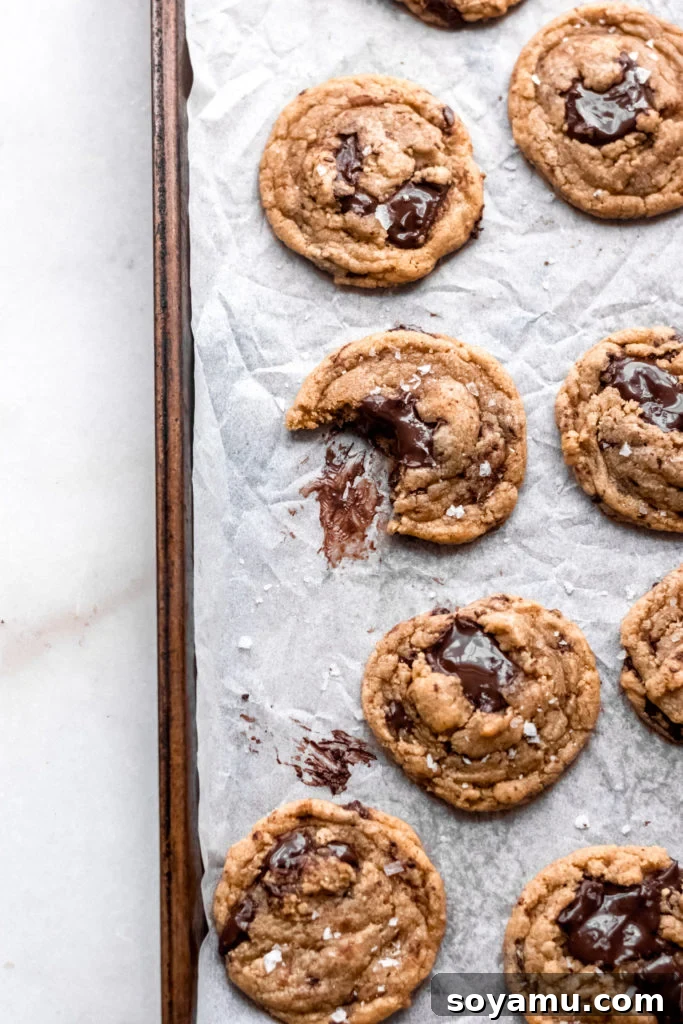 One Bowl Chocolate Chunk Cookies Freshly baked chocolate chunk cookies arranged artfully on a cooling rack, showcasing their golden edges and molten chocolate pools.