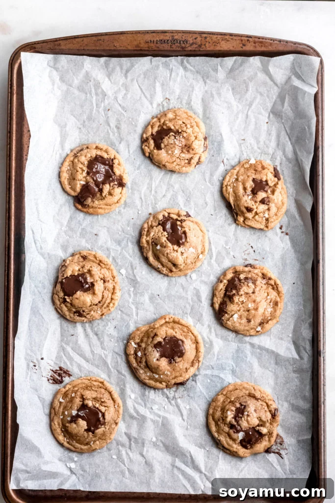 One Bowl Chocolate Chunk Cookies Freshly baked chocolate chunk cookies cooling on a baking tray, their golden-brown edges and soft centers visible.