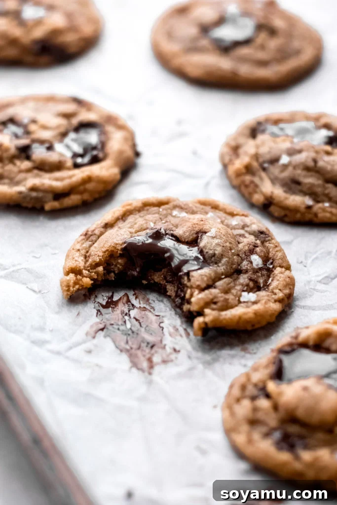 One Bowl Chocolate Chunk Cookies An extreme close-up of a chocolate chunk cookie, showing the rich, melted chocolate and soft texture.