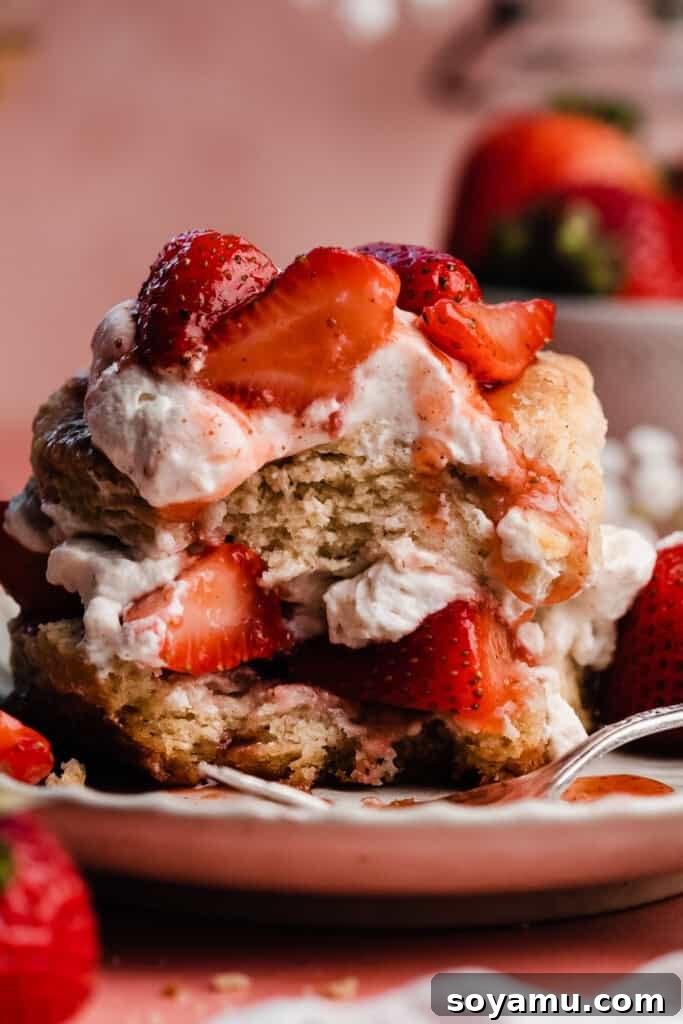 Sun-Kissed Strawberry Shortcakes with Dreamy Whipped Cream 14 A close-up of a strawberry shortcake with a bite missing.