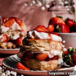 A double decker strawberry shortcake, with bright red strawberry juices gently dripping down the side of the tall fluffy biscuit.