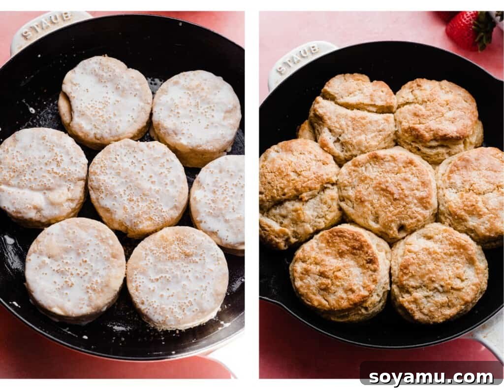 Sun-Kissed Strawberry Shortcakes with Dreamy Whipped Cream 10 A pan of unbaked and a pan of baked biscuits.