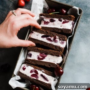 Handcrafted Black Forest Ice Cream Sandwiches 9 Homemade Black Forest Ice Cream Sandwiches