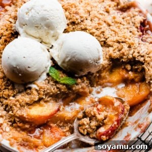 A baking dish of brown butter peach crisp topped with scoops of vanilla ice cream, ready to be served.