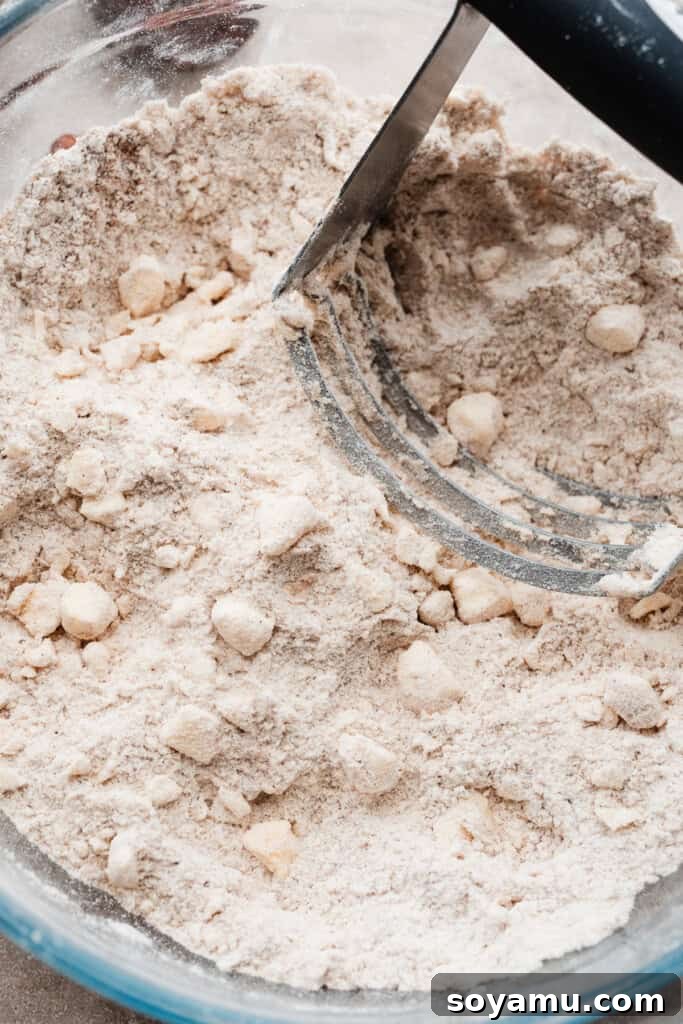 A bowl of the dry ingredients with cold butter cut in. Keywords: Scone Dough, Dry Ingredients, Cold Butter.