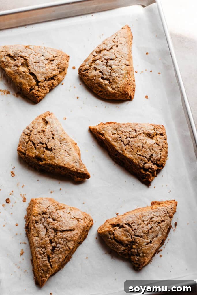 A pan of the baked pumpkin scones, golden brown and puffed up. Keywords: Baked Pumpkin Scones, Golden Scones, Freshly Baked.