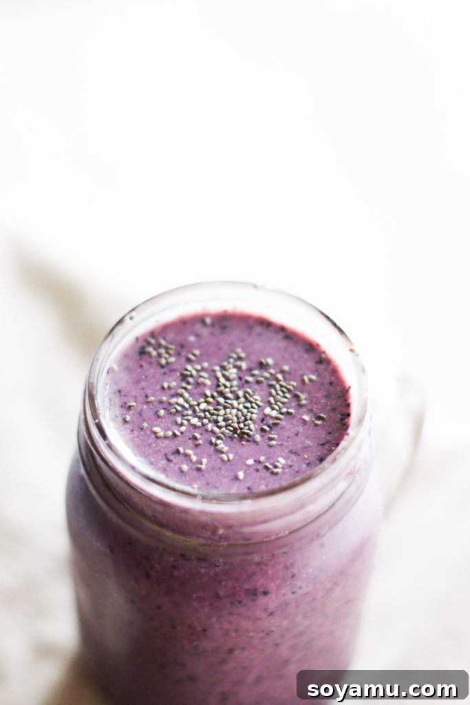 Effortless Vitality: 4 Wholesome Smoothie Creations 10 Another view of the vegan blueberry power smoothie, showcasing its rich color and inviting texture.