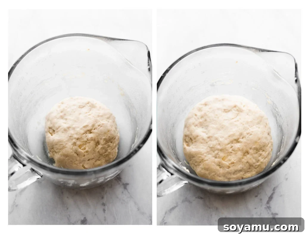 Risen Pizza Dough Ready for Baking Risen pizza dough in a pitcher, showing its increased volume and airy texture.