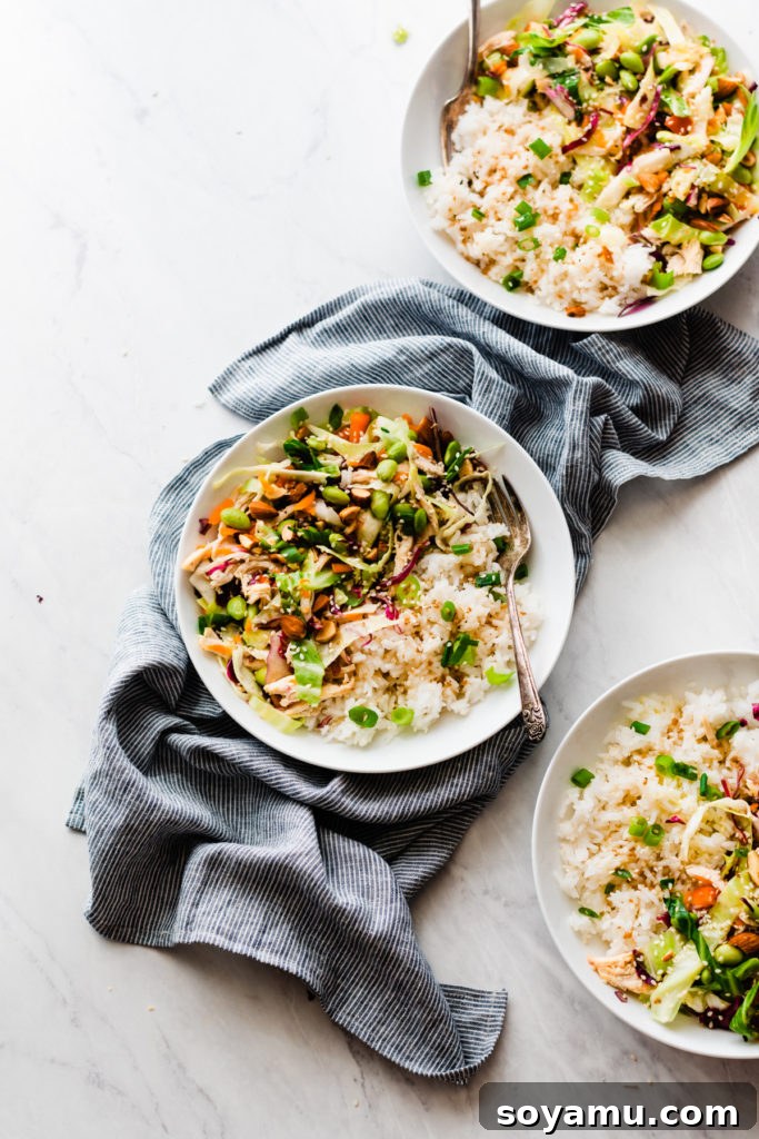 Overhead shot of a beautifully prepared Asian Chicken Bowl, garnished and ready to be enjoyed.