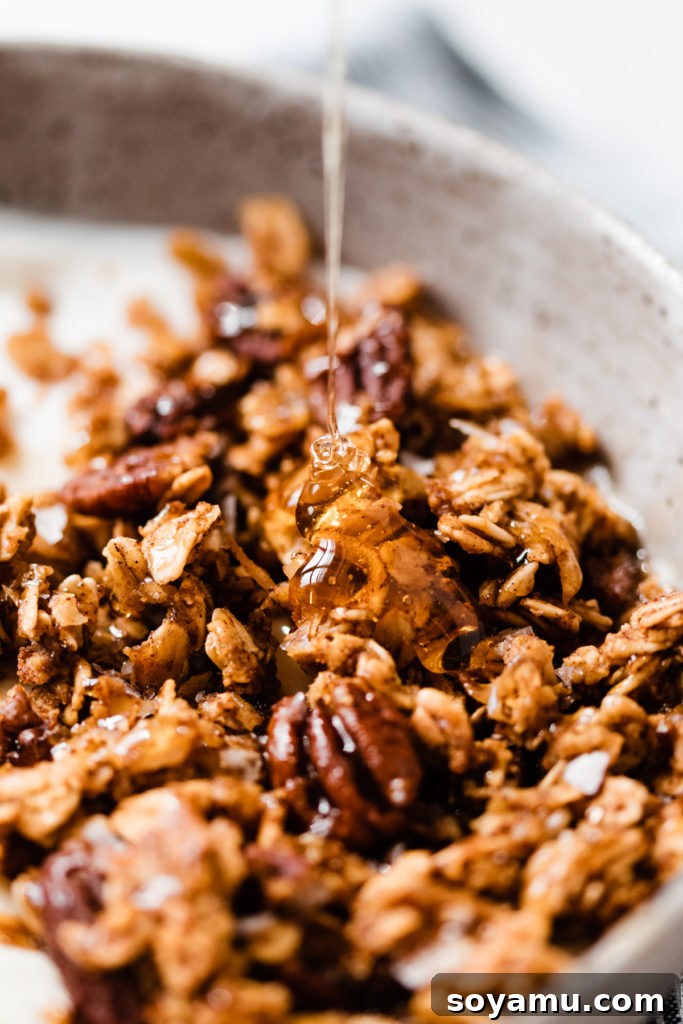 An overhead shot of a bowl of homemade pumpkin granola, perfect for breakfast.