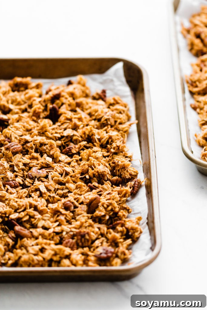 Close-up of golden brown, crunchy pumpkin granola just out of the oven.
