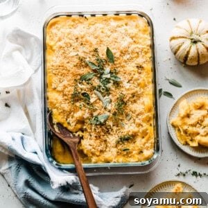 A pan of the baked butternut squash mac and cheese.