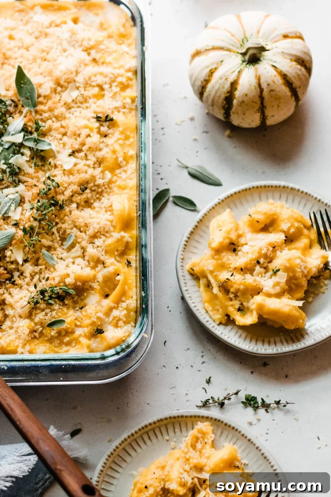 Baked Butternut Squash Mac and Cheese - Incredibly creamy, flavorful, & easy to make! Made with creamy butternut squash sauce, cheddar, parmesan, & smoked gouda cheese, fresh thyme + sage, and a crispy, buttery bread crumb topping. This side will be the star of your Thanksgiving meal! #macandcheese #easyrecipe #vegetarianrecipes #dinnerrecipes #sidedishrecipes #butternutsquashrecipes #thanksgivingrecipes #bluebowlrecipes | bluebowlrecipes.com A close-up shot of a single serving of the baked butternut squash mac and cheese on a plate, showcasing its creamy texture and crispy topping.