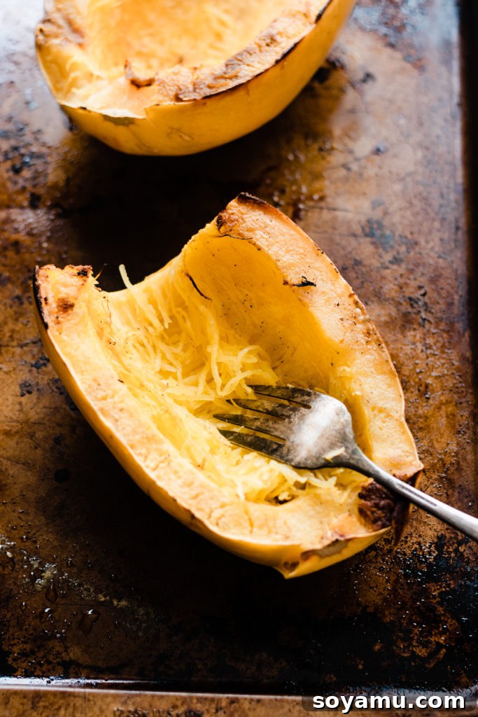 Scraping out Spaghetti Squash Strands with a Fork A fork scraping out the spaghetti-like strands from a perfectly roasted squash half.