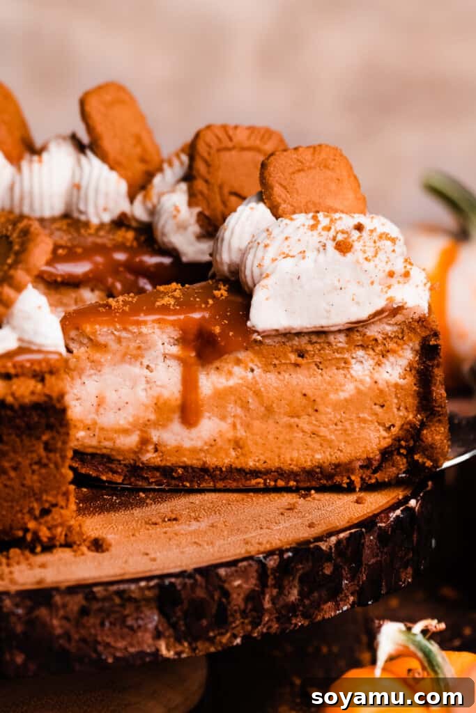 Pumpkin Swirl Cheesecake with Biscoff Crust - The perfect Thanksgiving dessert. A close-up of a perfectly sliced pumpkin cheesecake on a cake stand, revealing its creamy, swirled layers and crisp Biscoff crust. A cake lifter is gently pulling a slice away.