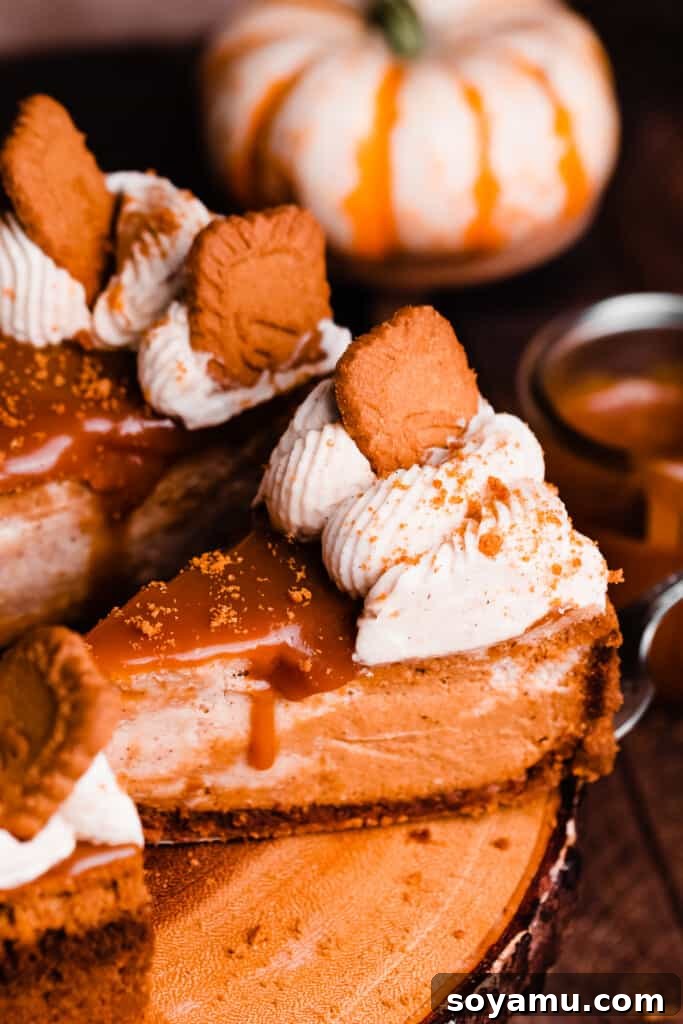 Top-down view of a pumpkin cheesecake slice A top-down view of a thick slice of pumpkin cheesecake on a plate, showcasing the beautiful swirled layers, topped with caramel and whipped cream.