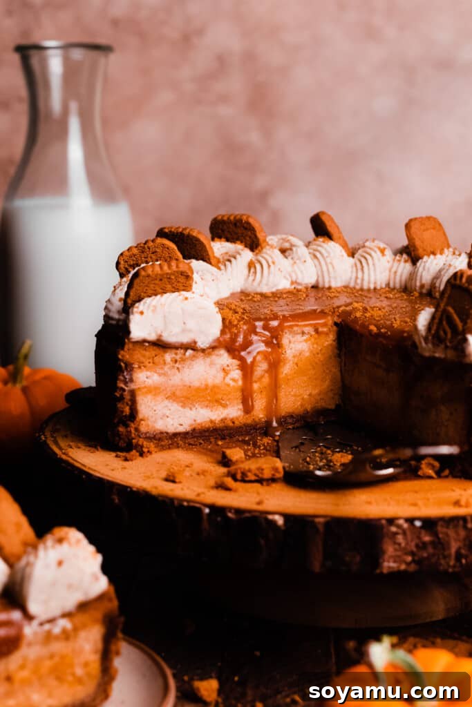 Cross-section of Swirled Pumpkin Cheesecake A close-up view of a cross-section of the baked pumpkin cheesecake, revealing its beautiful swirled layers, crowned with luscious caramel sauce and fluffy whipped cream.