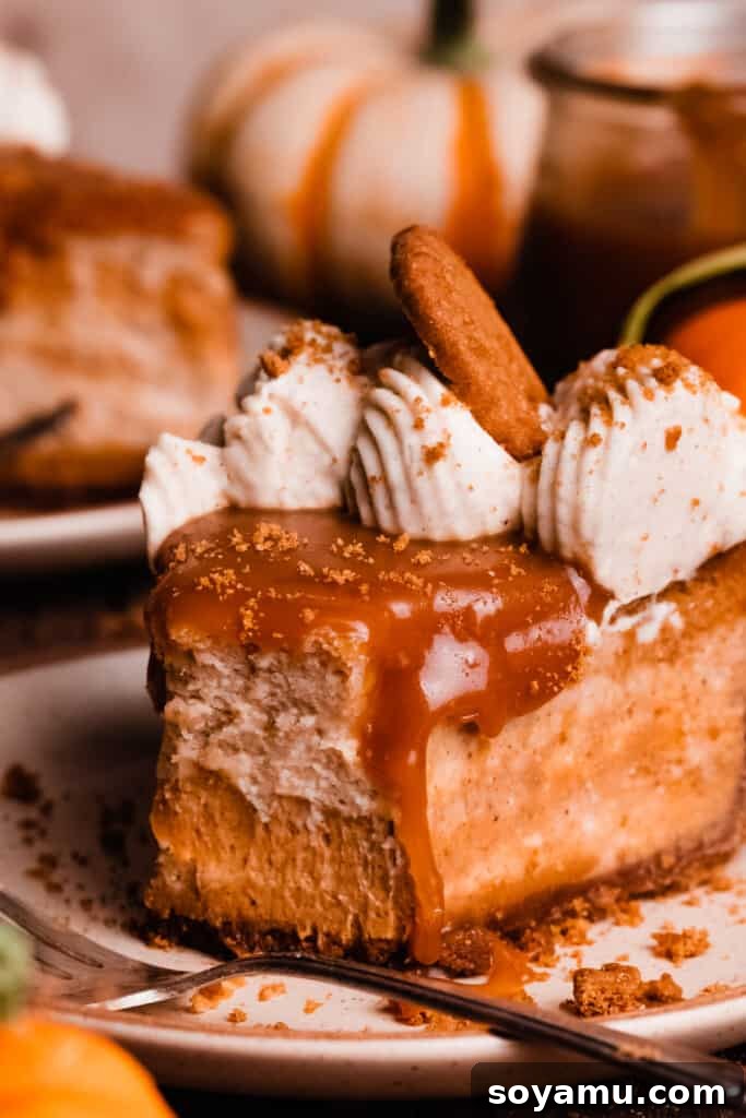 Pumpkin Cheesecake Slice - A delightful bite. A close-up of a single slice of pumpkin cheesecake on a plate, with a bite taken out, highlighting the moist interior and delightful toppings.