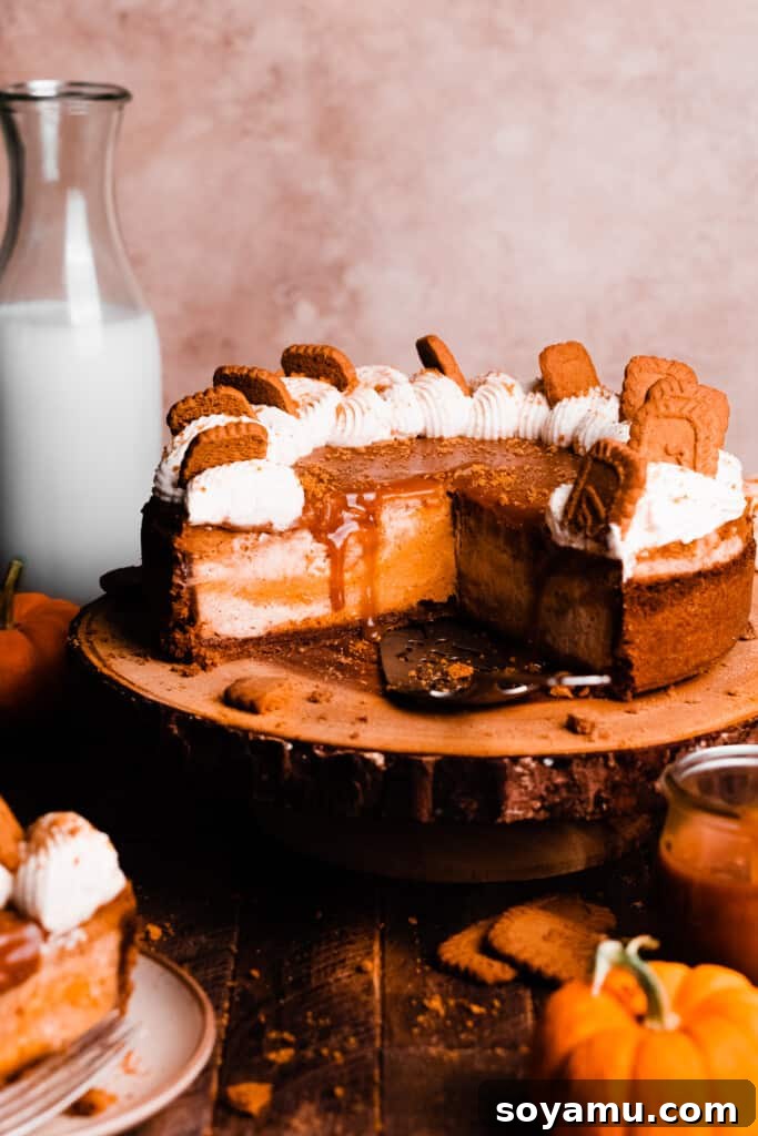 Sliced Pumpkin Cheesecake with Caramel and Whipped Cream A beautiful slice of swirled pumpkin cheesecake on a serving plate, generously topped with glistening salted caramel sauce and fluffy whipped cream, ready to be enjoyed.