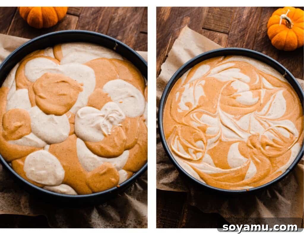 Spiced Pumpkin Swirl Cheesecake with Cookie Butter Crust 3 A springform pan showcasing the raw cheesecake batter, with distinct, artful swirls of light and dark pumpkin and vanilla layers, ready for baking.