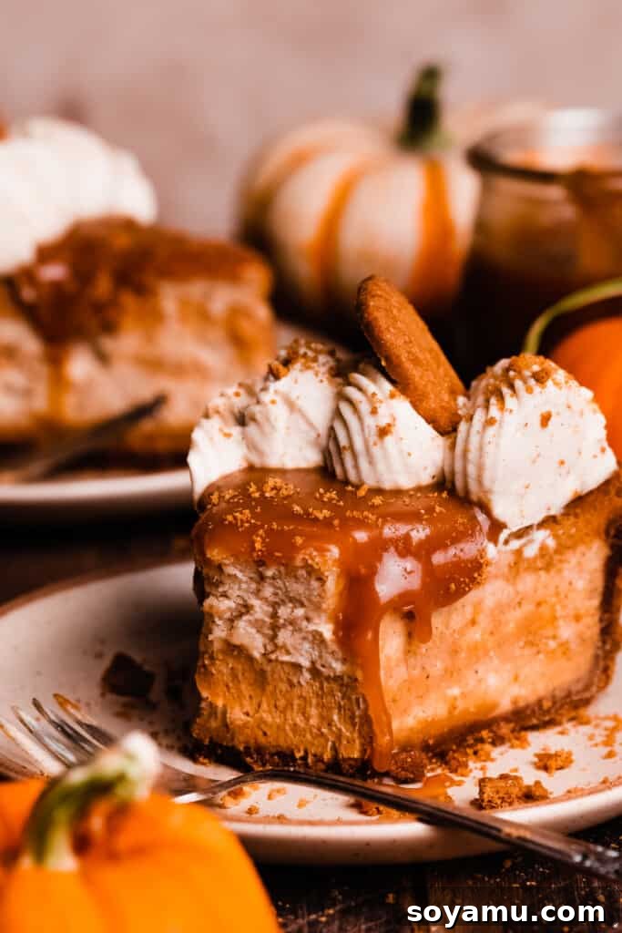 Pumpkin Cheesecake Slice with Caramel and Whipped Cream A delectable slice of pumpkin cheesecake on a white plate, adorned with a elegant swirl of whipped cream, a generous salted caramel drizzle, and a crunchy Biscoff cookie garnish.