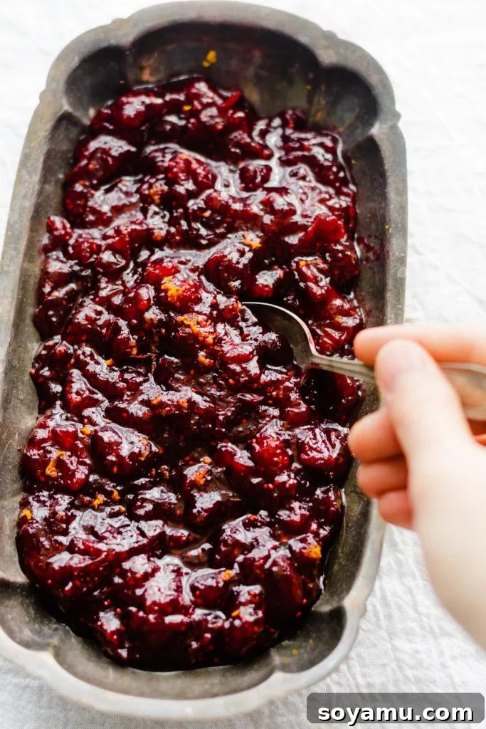Artisanal Maple Cranberry Sauce 3 A close-up shot capturing a hand gracefully scooping a spoonful of the glistening cranberry sauce from a decorative serving dish, highlighting its rich texture and vibrant color.