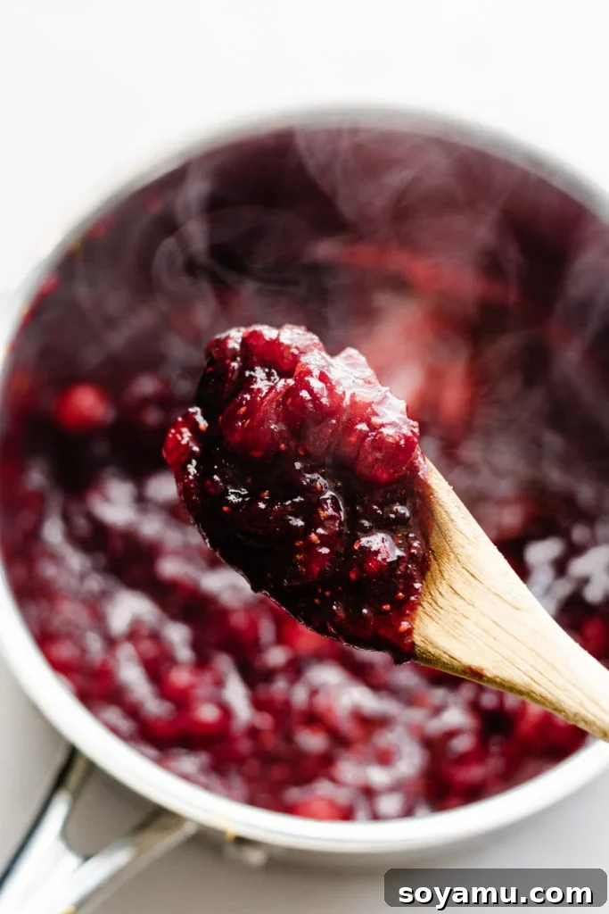 Artisanal Maple Cranberry Sauce 6 A wooden spoon delicately holding a dollop of glossy, ruby-red cranberry sauce, poised above the saucepan from which it was just scooped, showcasing its perfectly cooked consistency.