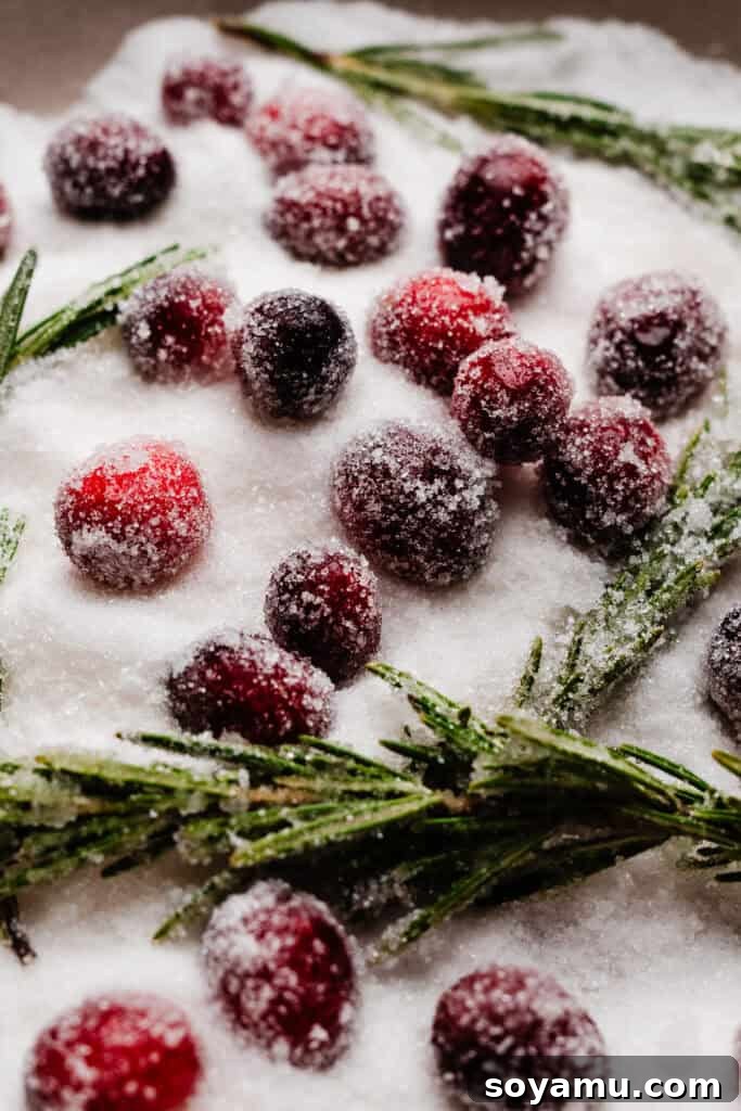 Sugared cranberries and rosemary sprigs, sparkling with white sugar, arranged on a baking sheet, ready for garnishing.