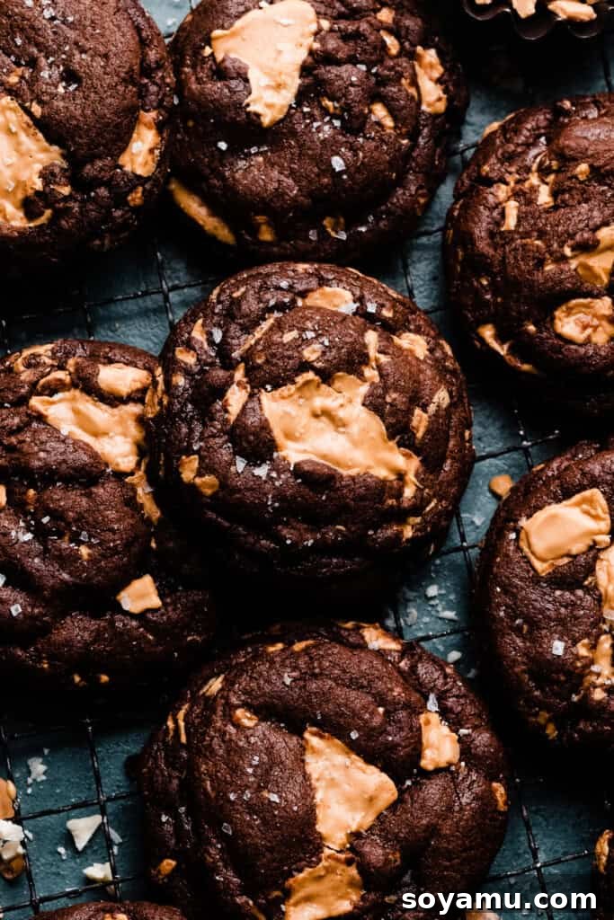 Double Chocolate Caramelized White Chocolate Cookies 2 Rich chocolate cookies studded with gooey, golden pools of caramelized white chocolate, ready to be enjoyed.
