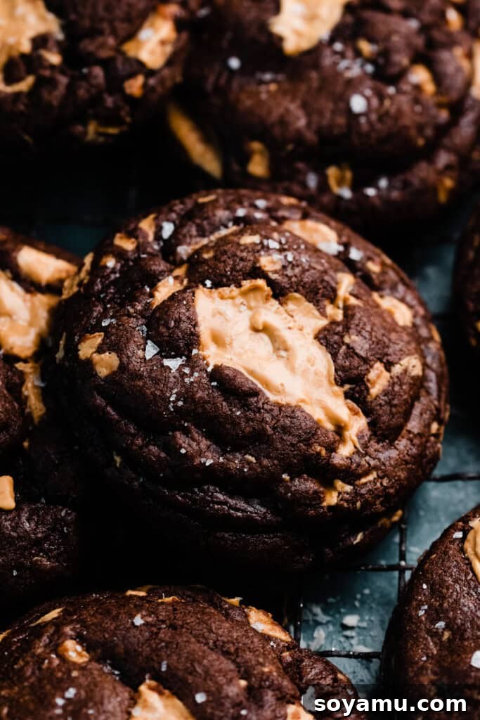 Double Chocolate Caramelized White Chocolate Cookies 11 A detailed close-up of a single rich chocolate cookie, generously studded with melted and gooey white chocolate chunks, highlighting its irresistible texture.