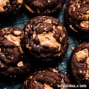 Chocolate cookies studded with caramelized white chocolate chunks, perfectly baked and ready to eat.