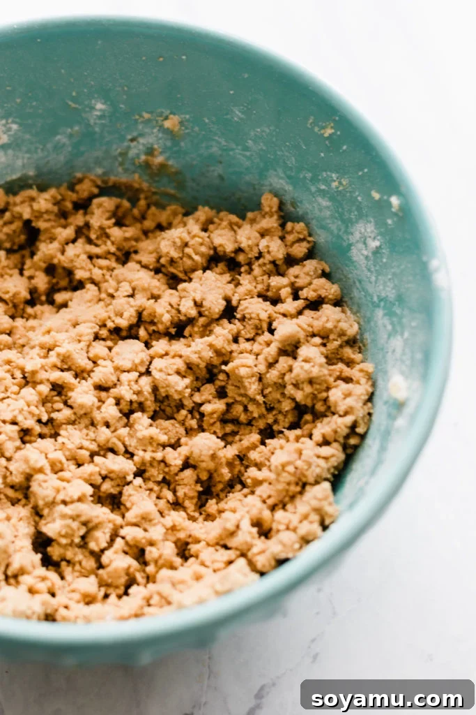 Cinnamon Maple Cookie Dough: Before Moistening Initial state of the Cinnamon Spiced Maple Cutout Cookie dough, appearing slightly dry and crumbly before adding milk.
