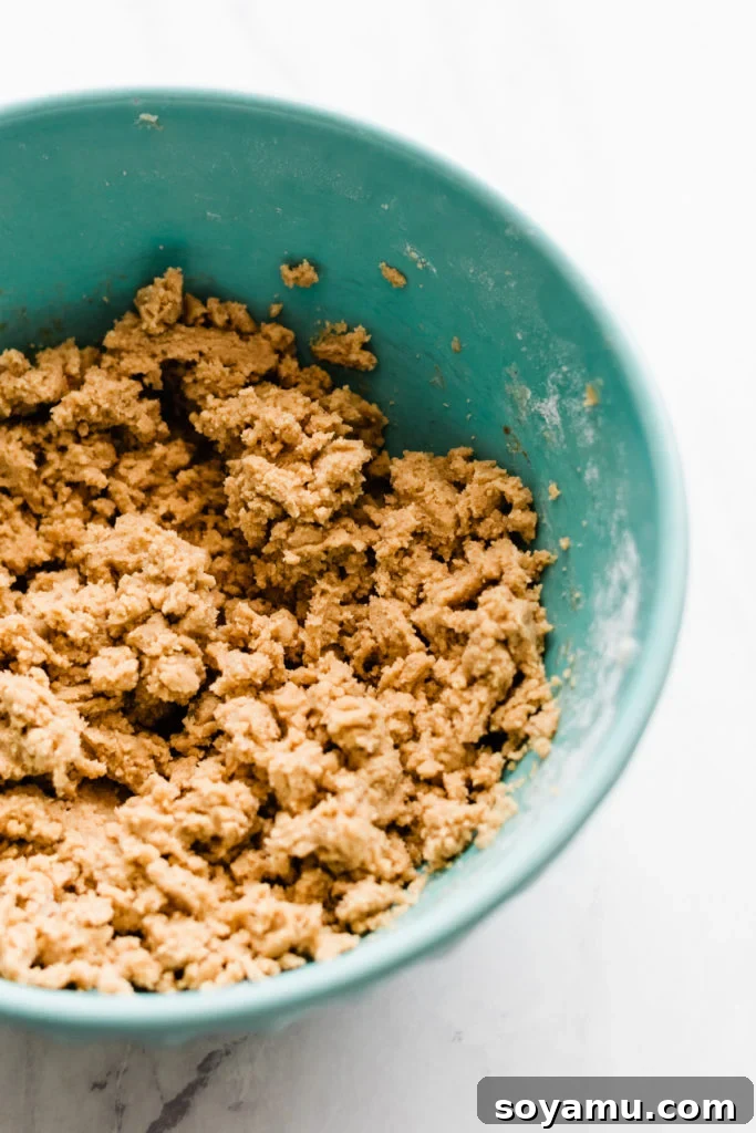 Cinnamon Maple Cookie Dough: Ideal Pliable Texture Optimal texture of Cinnamon Spiced Maple Cutout Cookie dough after adding a small amount of milk, showing it's smooth and perfectly pliable.