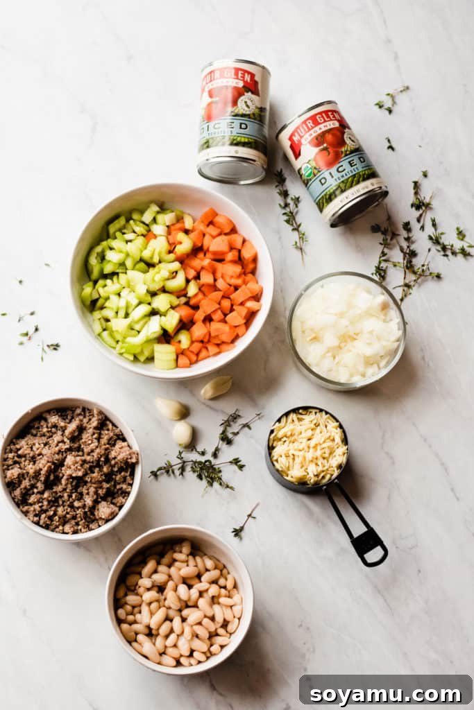 Healthy and Hearty Minestrone Soup - Made with carrots, diced tomatoes, kale, orzo, sausage, and TONS of flavor! This soup is the perfect cold-weather comfort food. It's filling, healthy, tastes incredible, and it's ready in under an hour! #soup #souprecipes #easyrecipes #glutenfreerecipes #minestronesoup #minestrone #winterrecipes #comfortfood #comfortfoodrecipes #healthyrecipes #dinnerrecipes #easyrecipes #easydinner #dairyfreerecipes #bluebowlrecipes | bluebowlrecipes.com Top down view of recipe ingredients: Bowl with chopped celery and carrots, bowl of diced white onions, cup of dry orzo, white bowl of cooked ground sausage, white bowl with drained cannellini beans, and two cans of diced tomatoes.