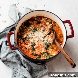 Robust Harvest Minestrone 2 A large dutch oven full of the minestrone soup, showing its rich texture and vibrant ingredients.