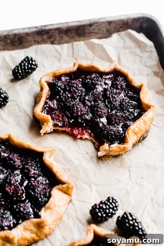 Two golden-brown Whole Wheat Mini Blackberry Galettes on a white plate, showcasing their beautifully crimped, flaky crust and bubbling fruit filling. The background is softly blurred, highlighting the rustic charm of these homemade desserts.