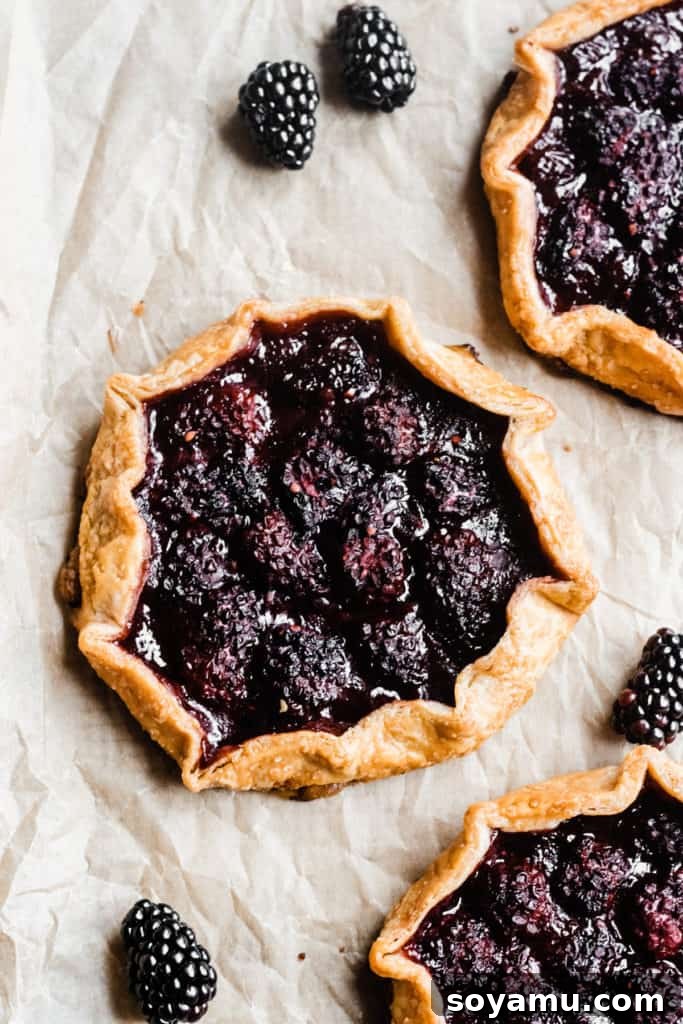 Three golden-brown Whole Wheat Mini Blackberry Galettes elegantly arranged on a rustic wooden board, flanked by a scattering of fresh blackberries. The image evokes a sense of homemade comfort and fresh ingredients.