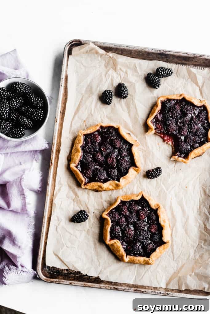 A close-up of a single perfectly baked mini galette, golden brown and bubbly, resting on a parchment-lined baking sheet. Its flaky whole wheat crust contrasts beautifully with the dark, caramelized fruit filling.
