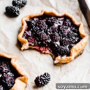 A close-up of a baked Whole Wheat Mini Blackberry Galette, featuring a golden, rustic crust and a rich, dark fruit filling.
