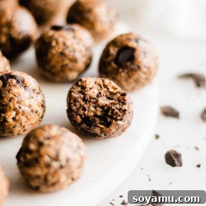A perfectly rolled energy bite with chocolate chips