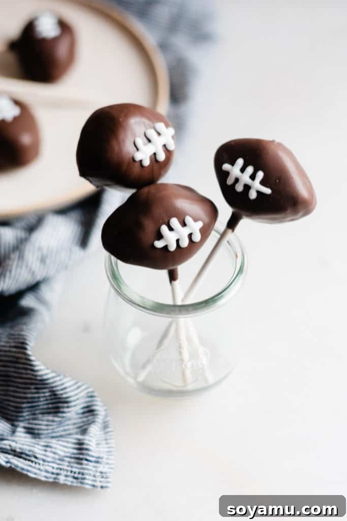 A spread of irresistible homemade chocolate cake pops A finished batch of homemade chocolate cake pops, beautifully arranged and ready to serve.