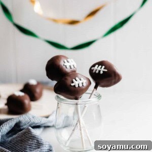 Handcrafted Chocolate Cake Delights 2 Homemade Chocolate Cake Pops