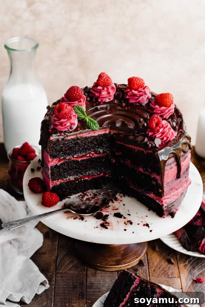 Decadent Raspberry Chocolate Delight 13 A 3/4 view of the elegant chocolate raspberry cake, beautifully decorated.