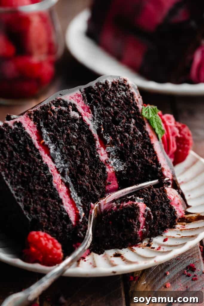 Decadent Raspberry Chocolate Delight 3 A close-up of a perfectly sliced piece of chocolate raspberry cake on a white plate, showing the distinct layers.