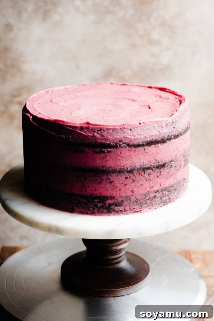 Decadent Raspberry Chocolate Delight 8 The frosted Chocolate Raspberry Cake on a cake stand, showcasing a smooth finish.
