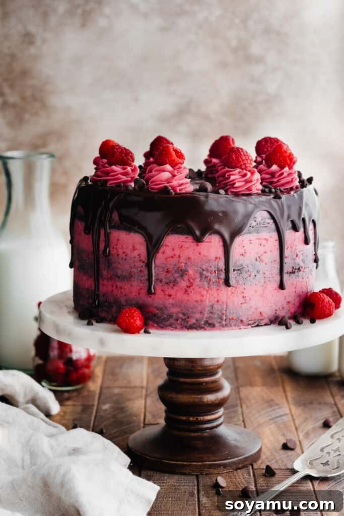 Decadent Raspberry Chocolate Delight 9 The assembled raspberry chocolate cake on a cake stand with a beautiful chocolate ganache drip.